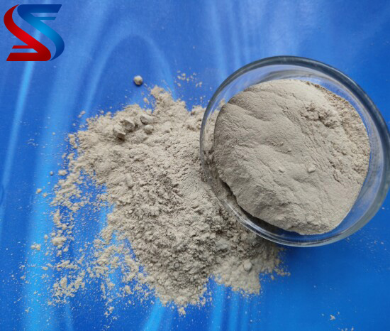 ��ĥ�������X�\������|���X��(x��)�ۏS�҈D